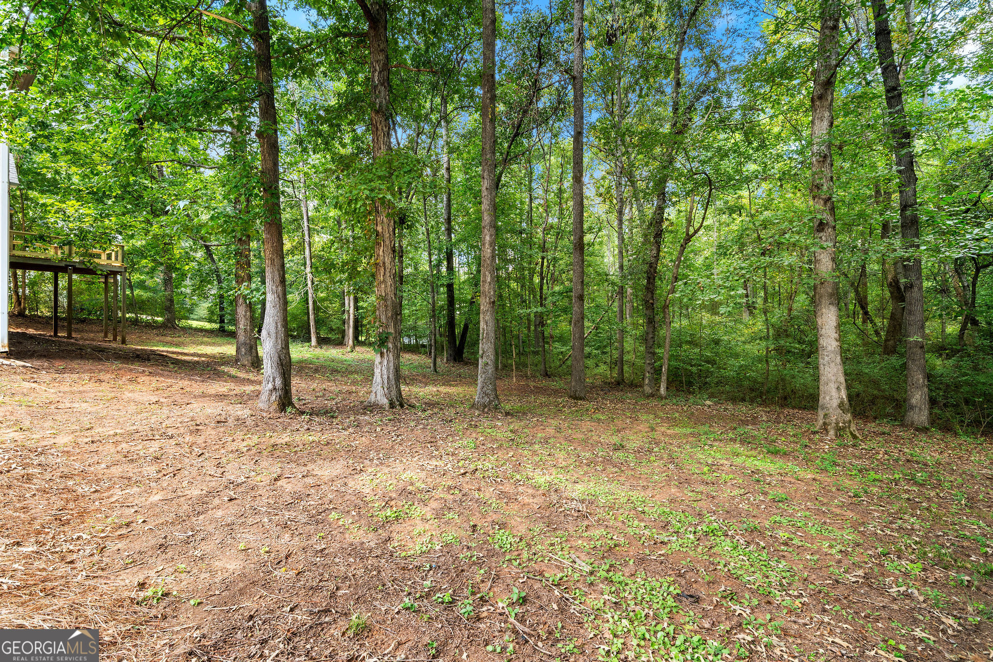 Sharpsburg, Georgia 30277, United States, 3 Bedrooms Bedrooms, ,3 BathroomsBathrooms,Residential,Active,214935