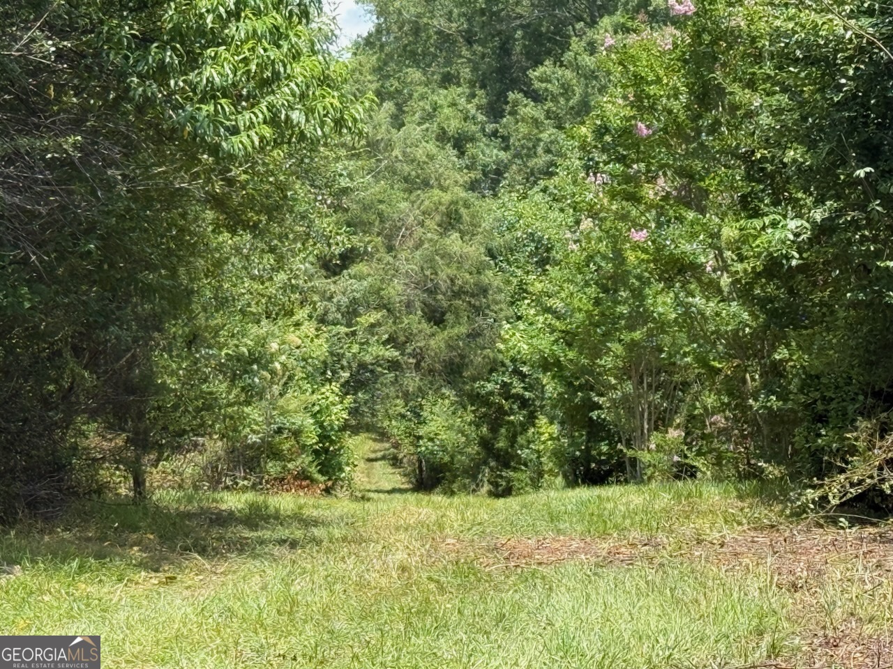 668 Garner Rd.