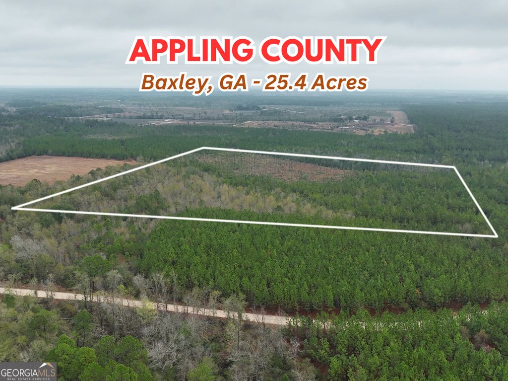 Photo of 0 Off Doc McTier Road, Baxley, GA 31513 (MLS # 10656659)