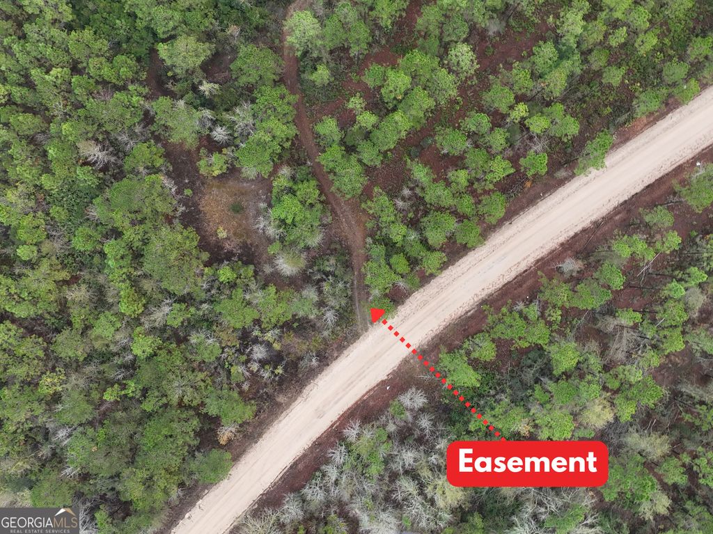 Photo of 0 Off Doc McTier Road, Baxley, GA 31513 (MLS # 10656659)