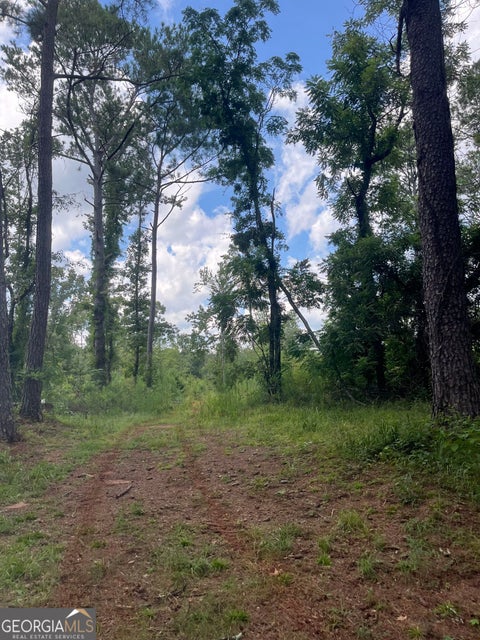 Photo of 00 Anderson Rd, Woodland, GA 31836 (MLS # 10836030)