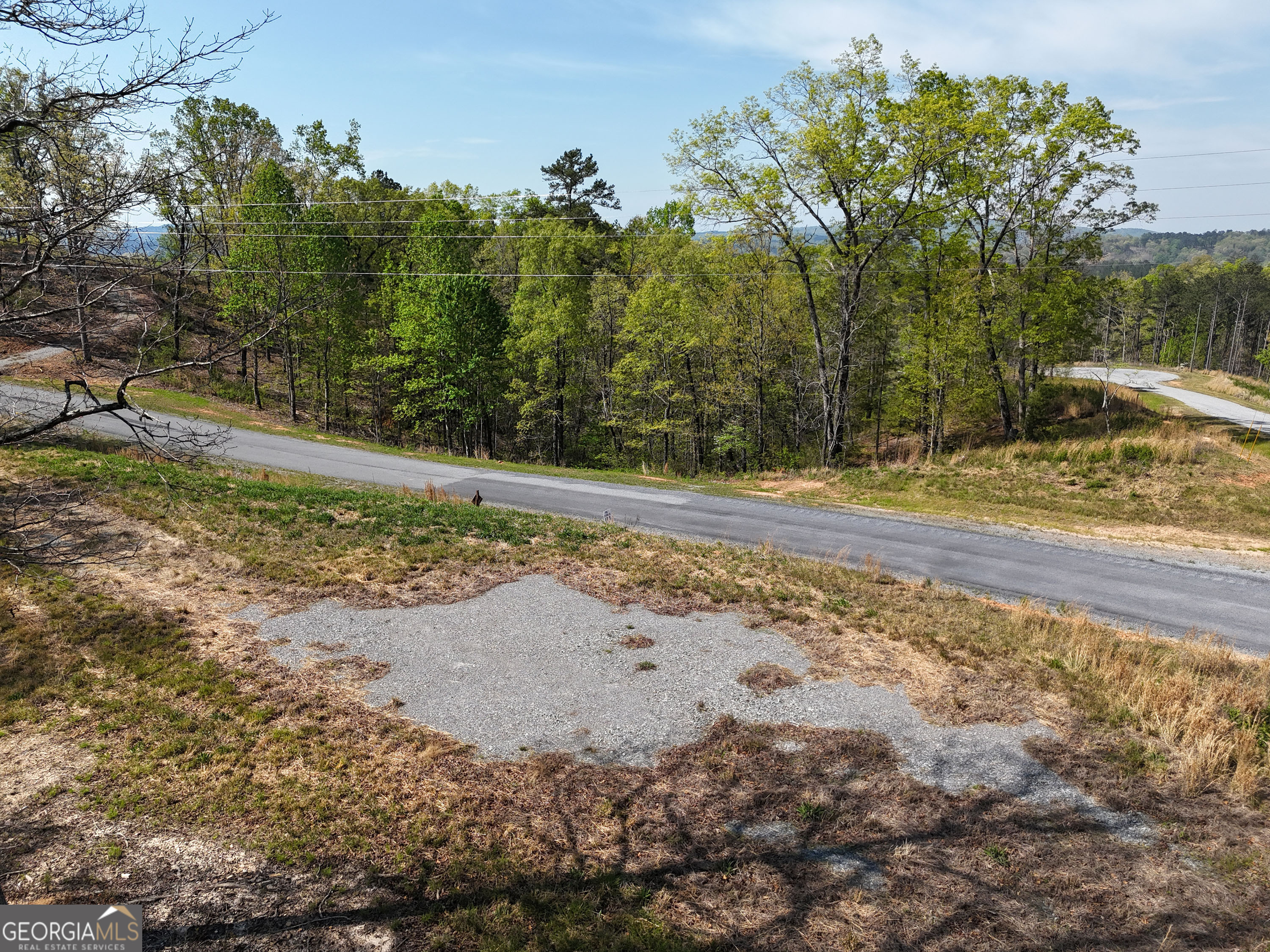 LT 20 Blalock Mountain RD