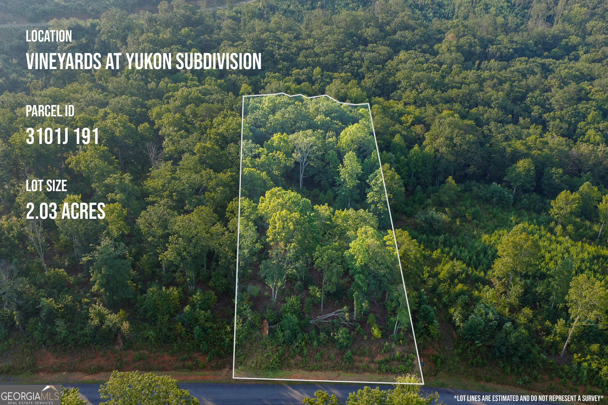 LOT 191 Oak Park Drive, Talking Rock, GA, 30175