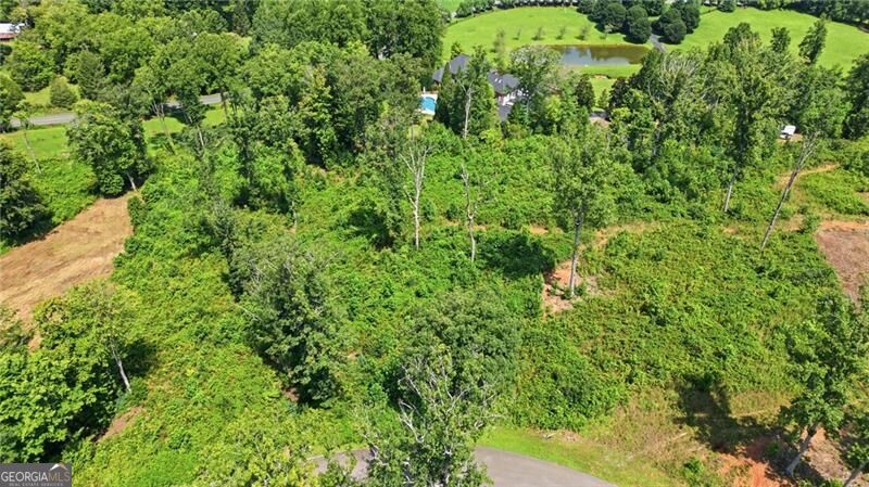 Photo of 17 Mystic Drive, Ellijay, GA 30540 (MLS # 10823861)