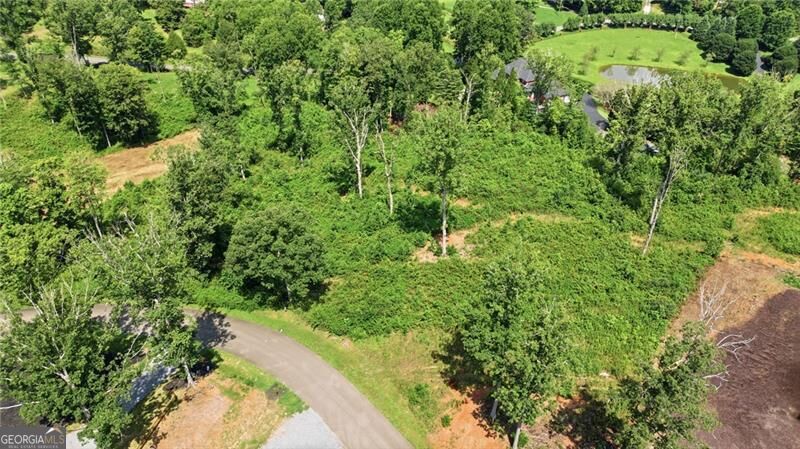 Photo of 17 Mystic Drive, Ellijay, GA 30540 (MLS # 10823861)