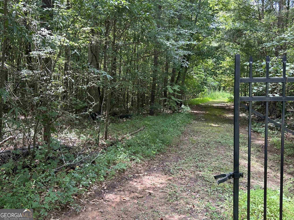 Photo of 4923 Amsler Road, Ellenwood, GA 30294 (MLS # 20163098)