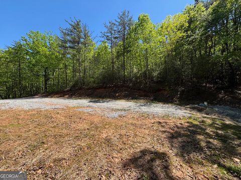 Photo of 174 Forbes Drive, Cleveland, GA 30528 (MLS # 10735745)