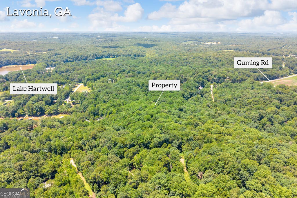 Photo of 0 De La Taix Drive, Lavonia, GA 30553 (MLS # 10809993)