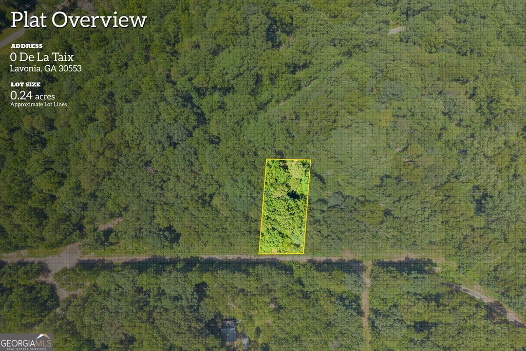 Photo of 0 De La Taix Drive, Lavonia, GA 30553 (MLS # 10809993)