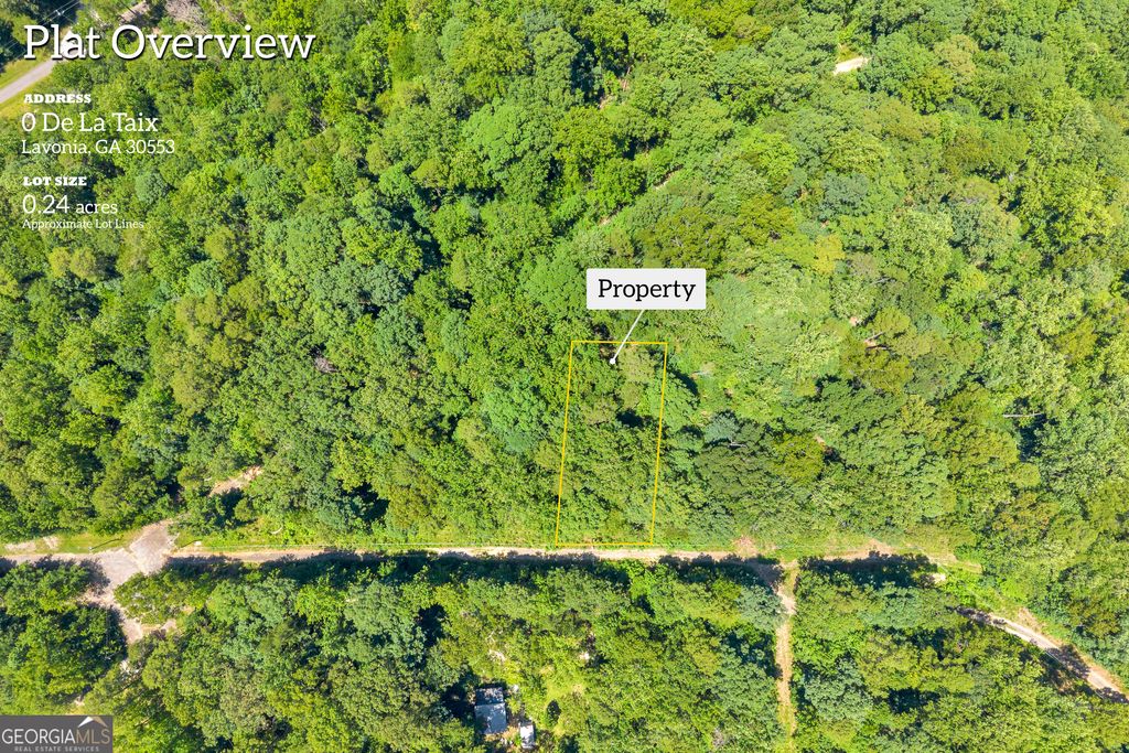 Photo of 0 De La Taix Drive, Lavonia, GA 30553 (MLS # 10809993)