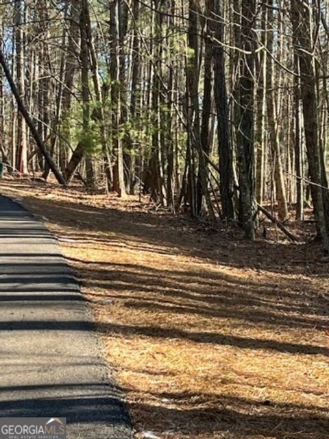 Photo of 36 Lakeview Lane, Ellijay, GA 30536 (MLS # 10686714)