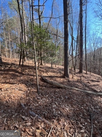 LOT 36R Lakeview Lane
