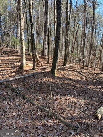 LOT 36R Lakeview Lane