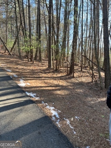 LOT 36R Lakeview Lane