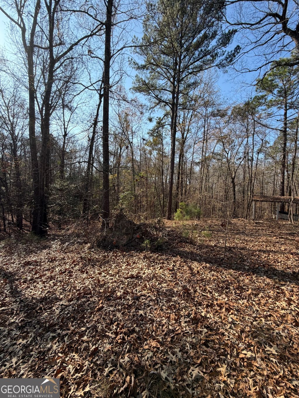 Photo of 3608 Franklinton Road, Dry Branch, GA 31020 (MLS # 10662096)