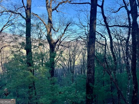 0 Mule Branch RD Helen GA 30545