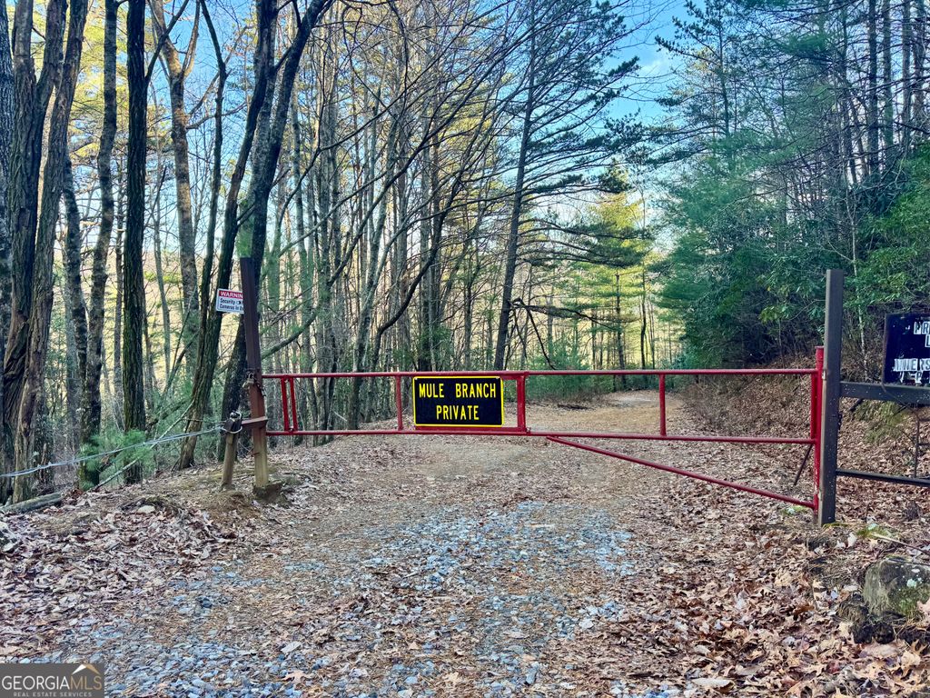 Photo of 0 Mule Branch Road, Helen, GA 30545 (MLS # 10655521)