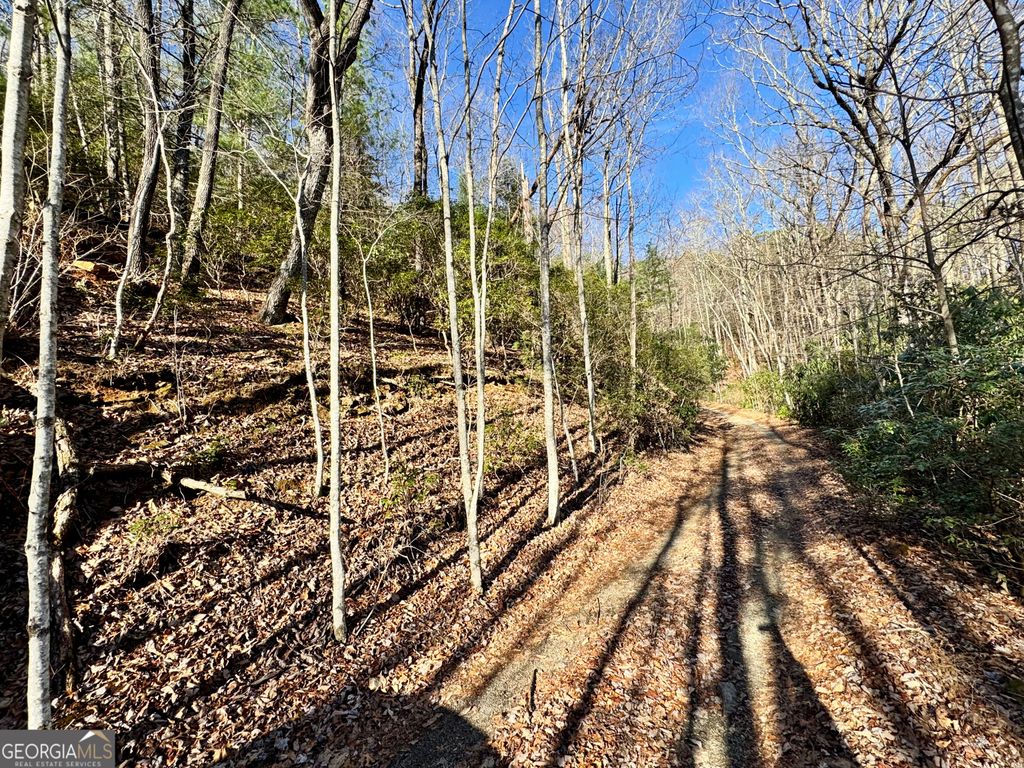 Photo of 0 Mule Branch Road, Helen, GA 30545 (MLS # 10655521)