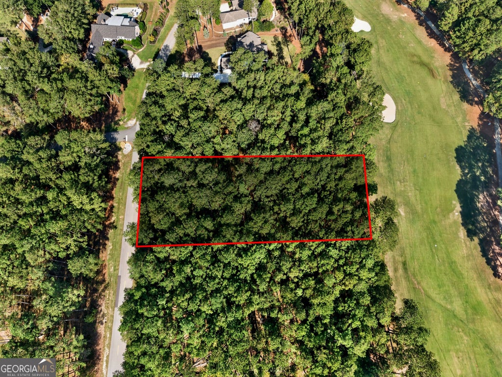 Photo of 2320 Club Drive, Greensboro, GA 30642 (MLS # 10876600)