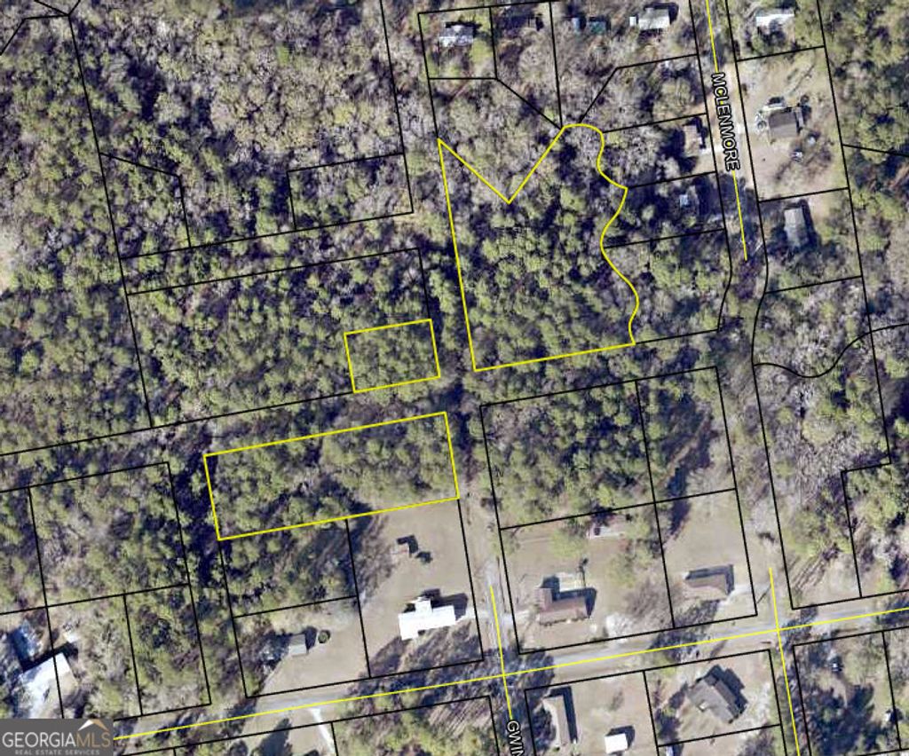 Photo of 0 Mclemore Street, Lyons, GA 30436 (MLS # 10678733)