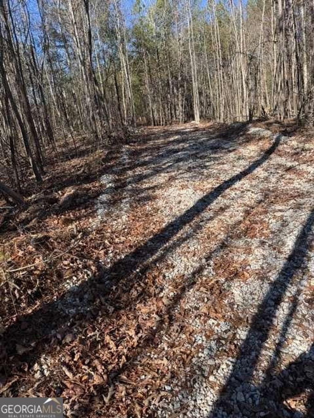 Photo of 727 Central High Road, Carrollton, GA 30116 (MLS # 10673533)