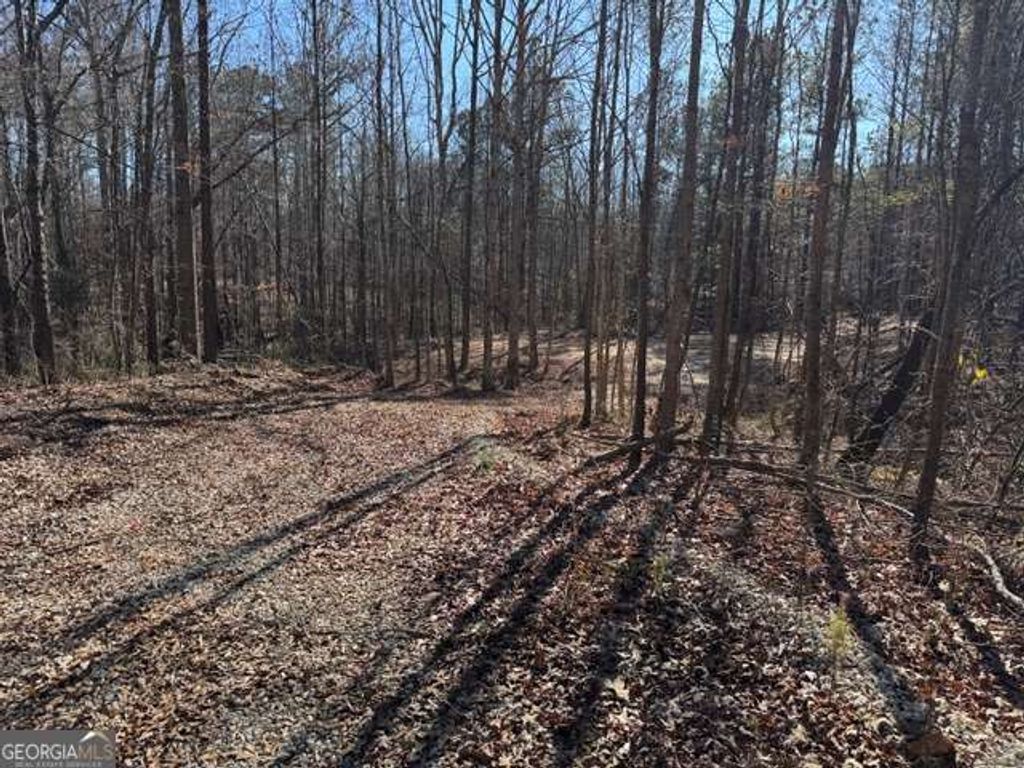 Photo of 727 Central High Road, Carrollton, GA 30116 (MLS # 10673533)