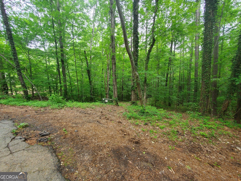 Photo of 00 W Mourning Dove Court, Monticello, GA 31064 (MLS # 10808497)