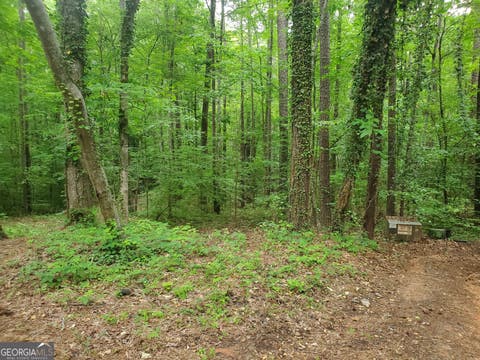 Photo of 0 W Mourning Dove Court, Monticello, GA 31064 (MLS # 10808497)