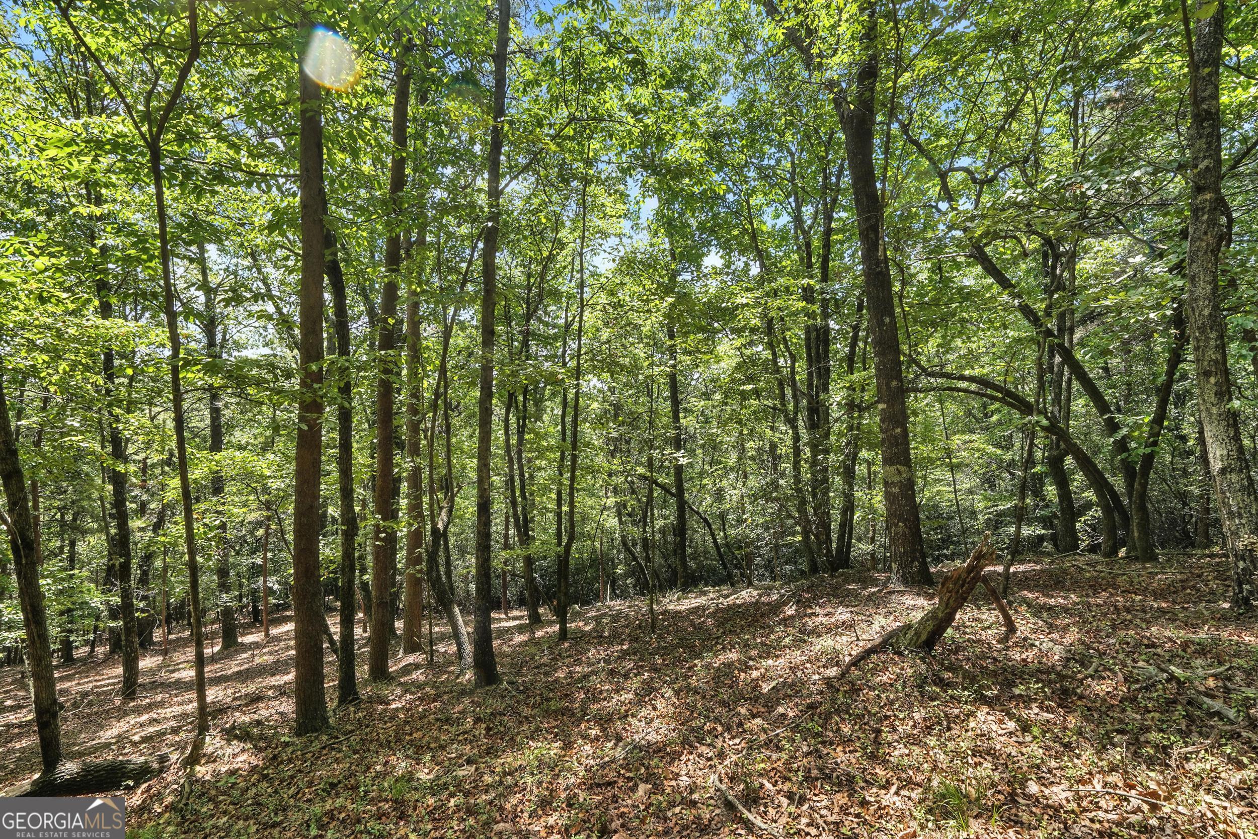 0 Laceola South RD LOT 120