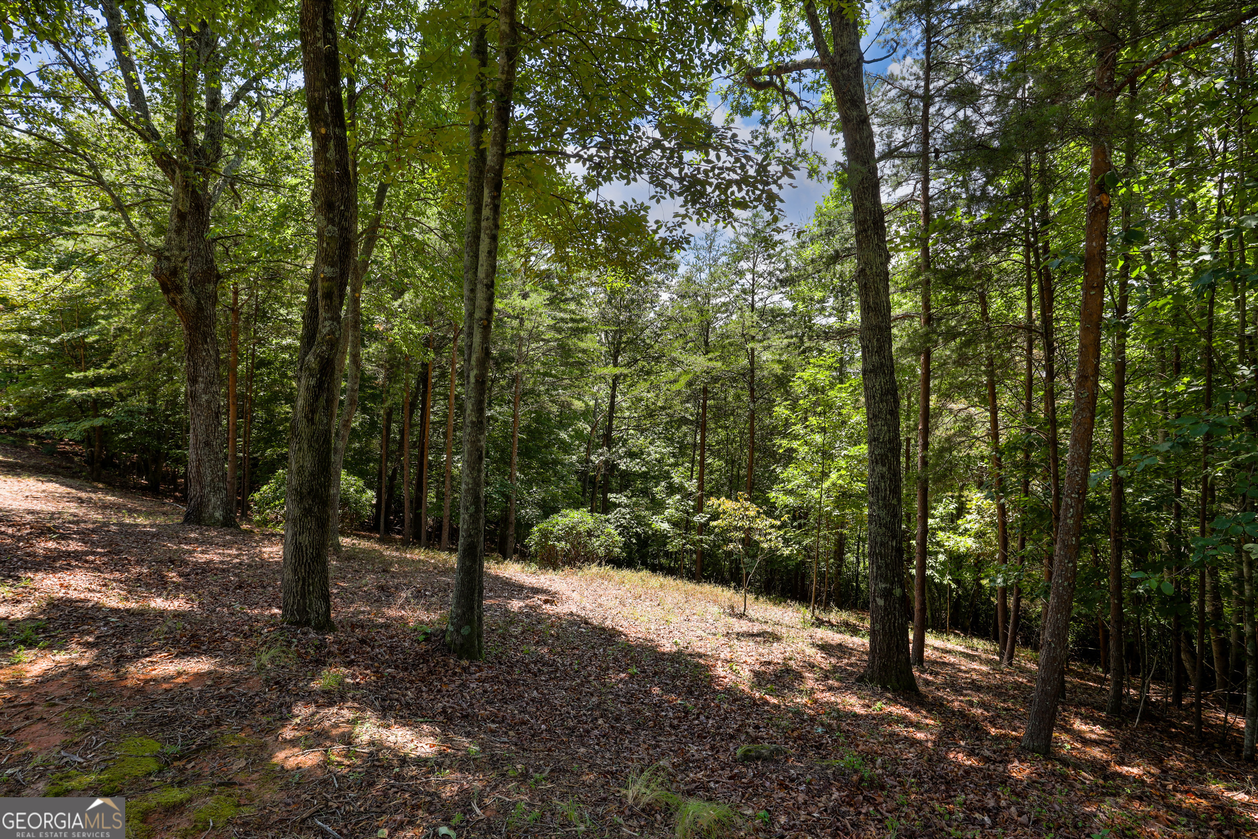 0 Laceola South RD LOT 120