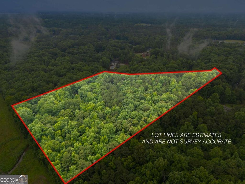 Photo of 151 Melvin Phillips Road, Newnan, GA 30263 (MLS # 10790304)