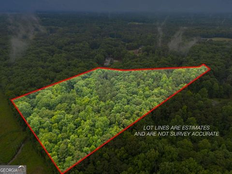 Photo of 151 Melvin Phillips Road, Newnan, GA 30263 (MLS # 10790304)