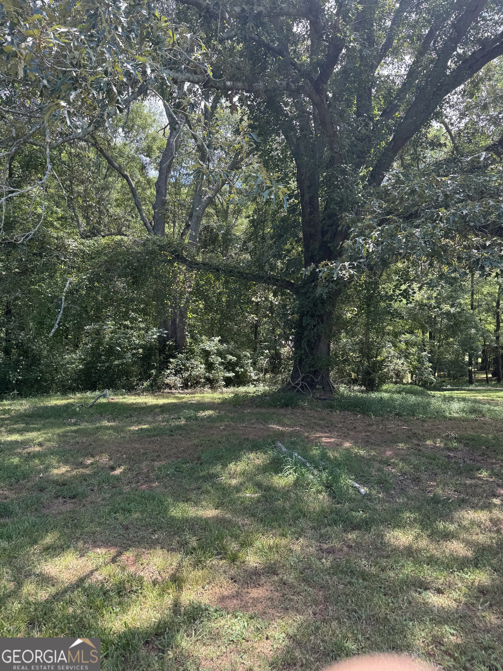 3517 Jefferson River RD