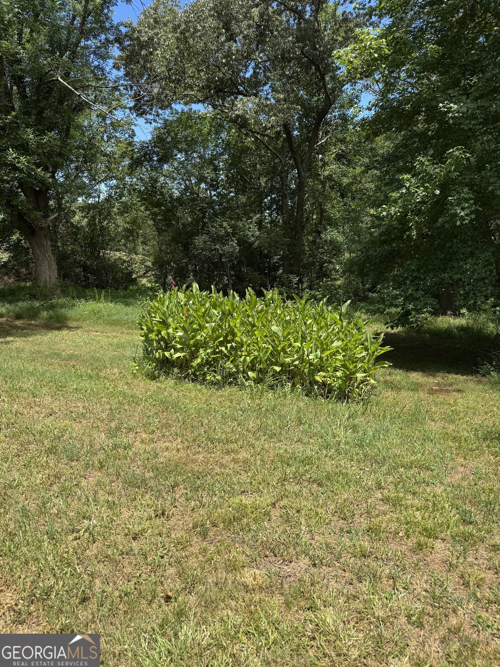 3517 Jefferson River RD