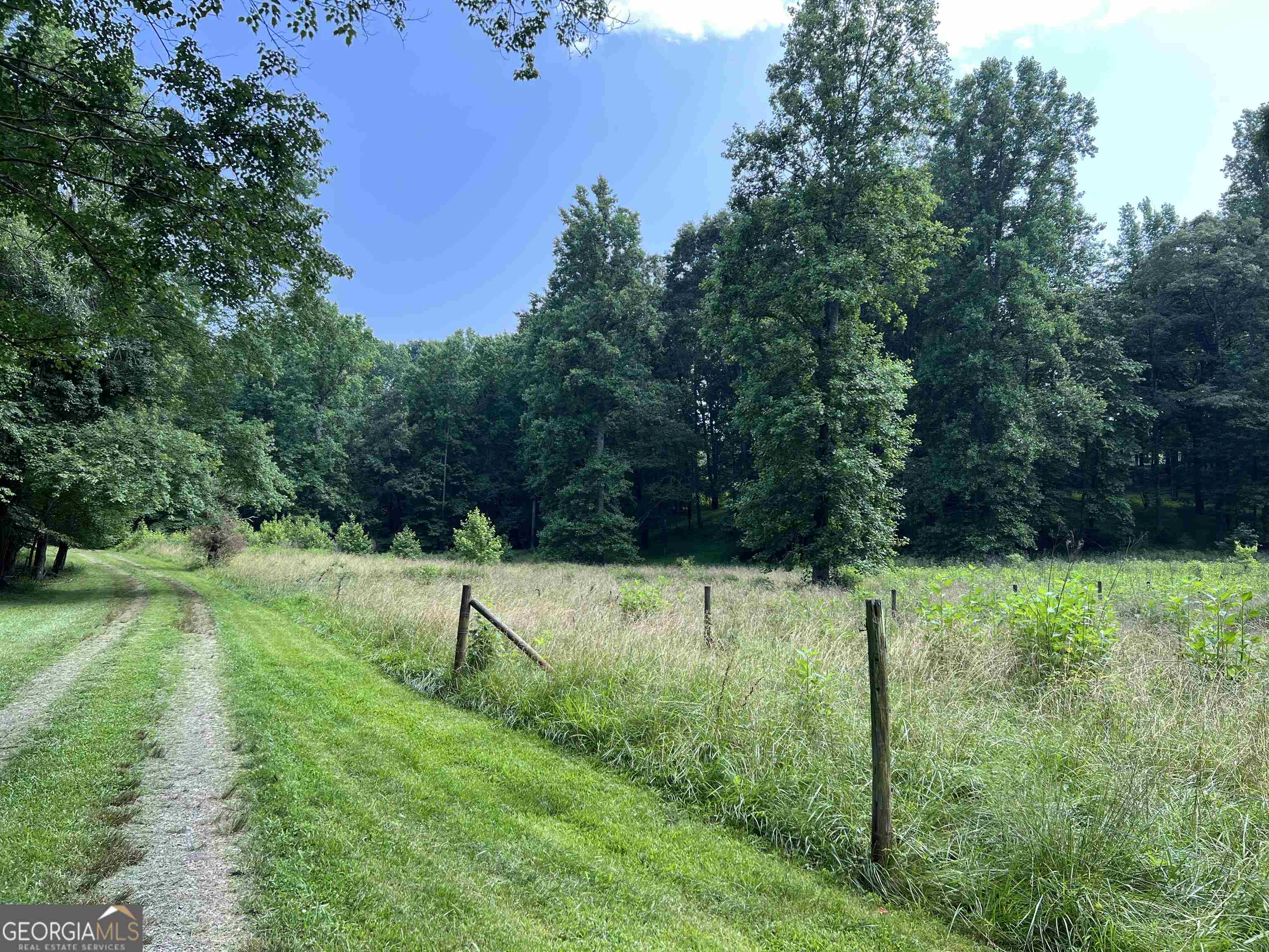0 Old Hk Wagon RD