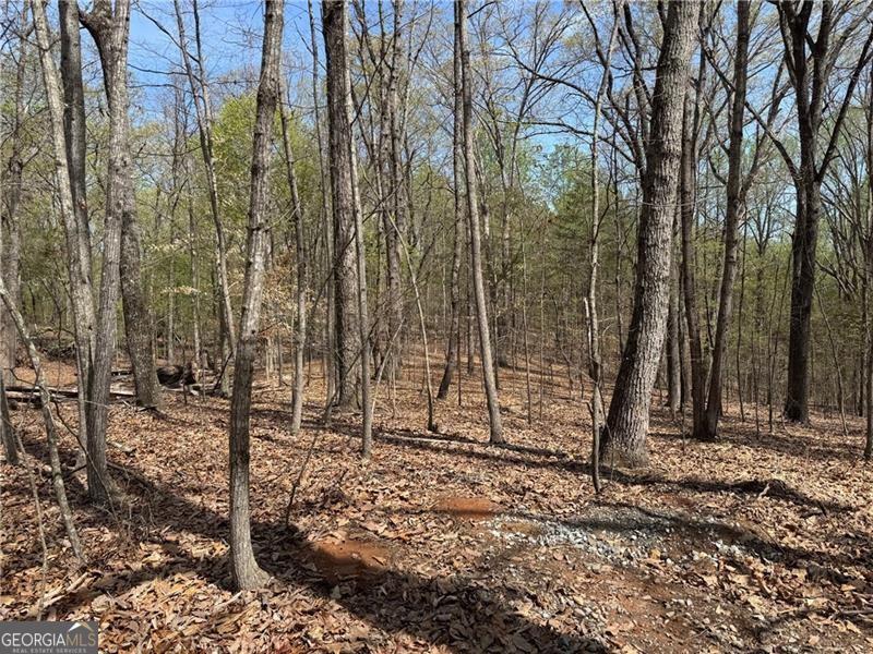 0 Bethel Rd (296 128 & 296 132) RD