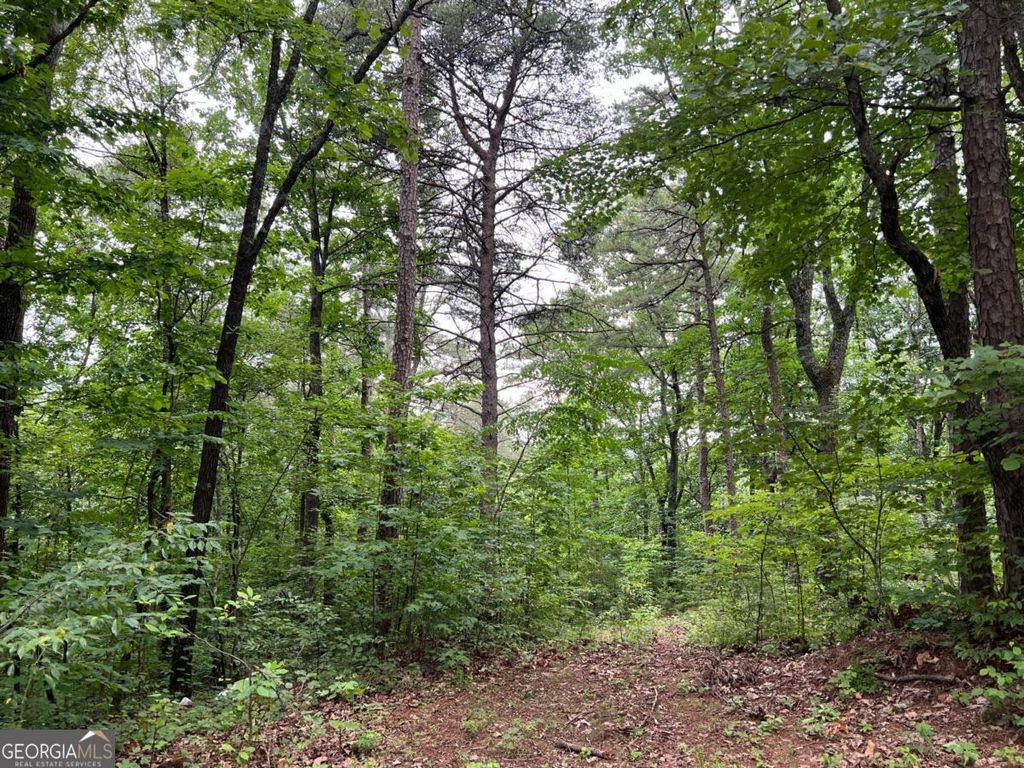 Photo of 198 Log Round Mountain Trail, Ellijay, GA 30540 (MLS # 10678870)