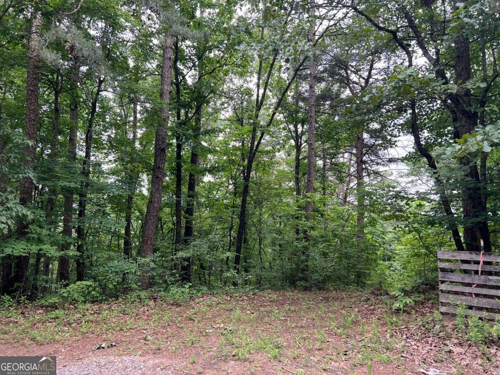 Photo of 198 Log Round Mountain Trail, Ellijay, GA 30540 (MLS # 10678870)