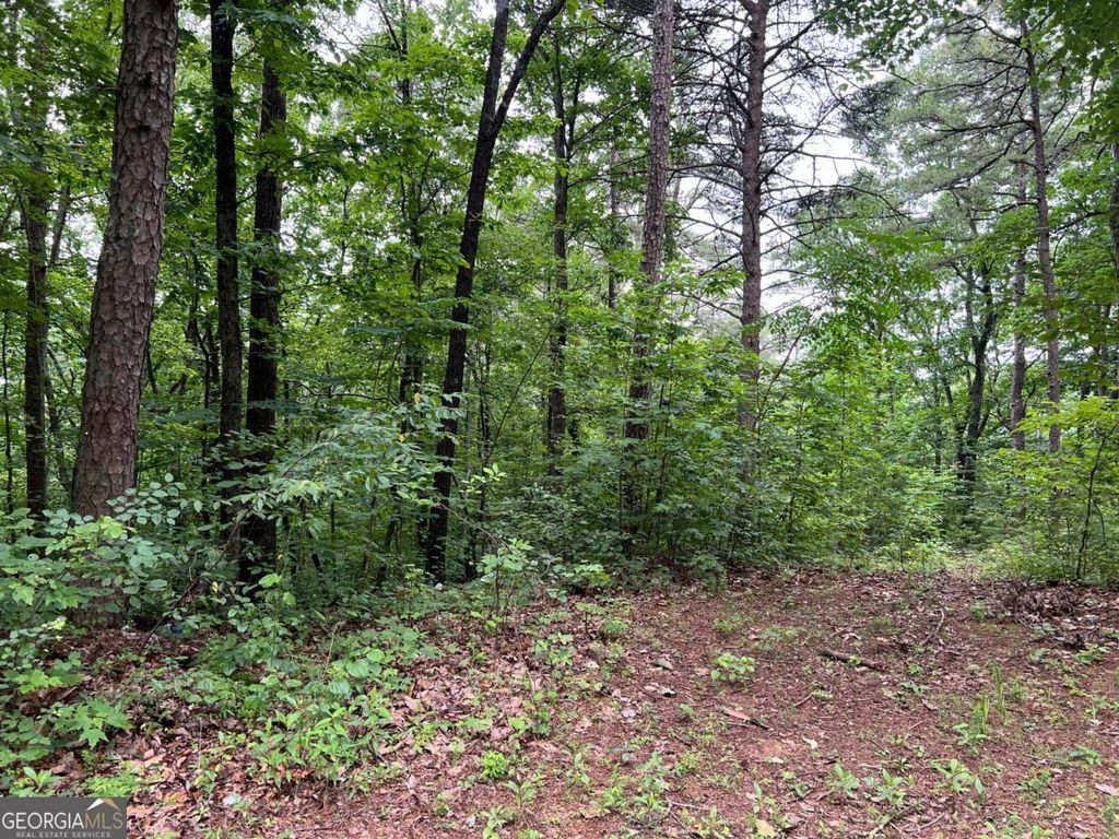 Photo of 198 Log Round Mountain Trail, Ellijay, GA 30540 (MLS # 10678870)