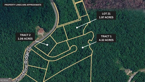 Photo of 21 Sunshine Ridge Drive, Toccoa, GA 30577 (MLS # 10871619)