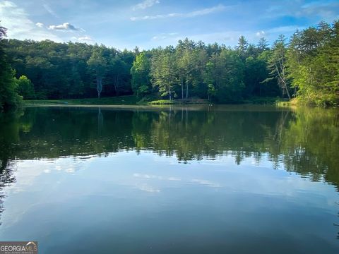 A home in Ellijay