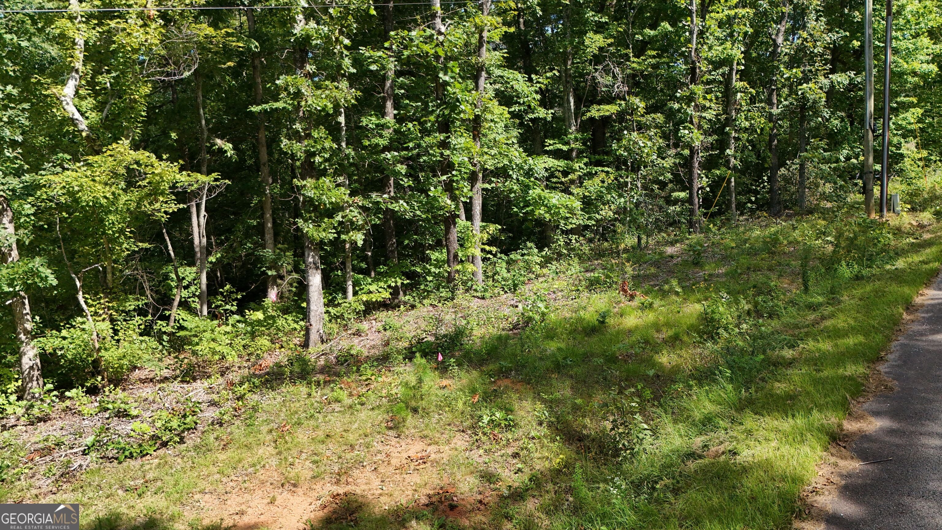 LOT 195 Fern Valley TRL