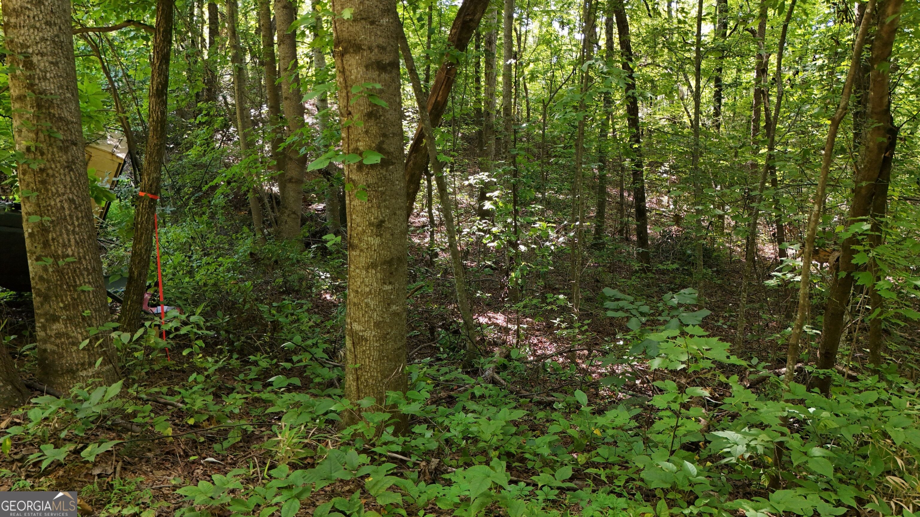LOT 195 Fern Valley TRL