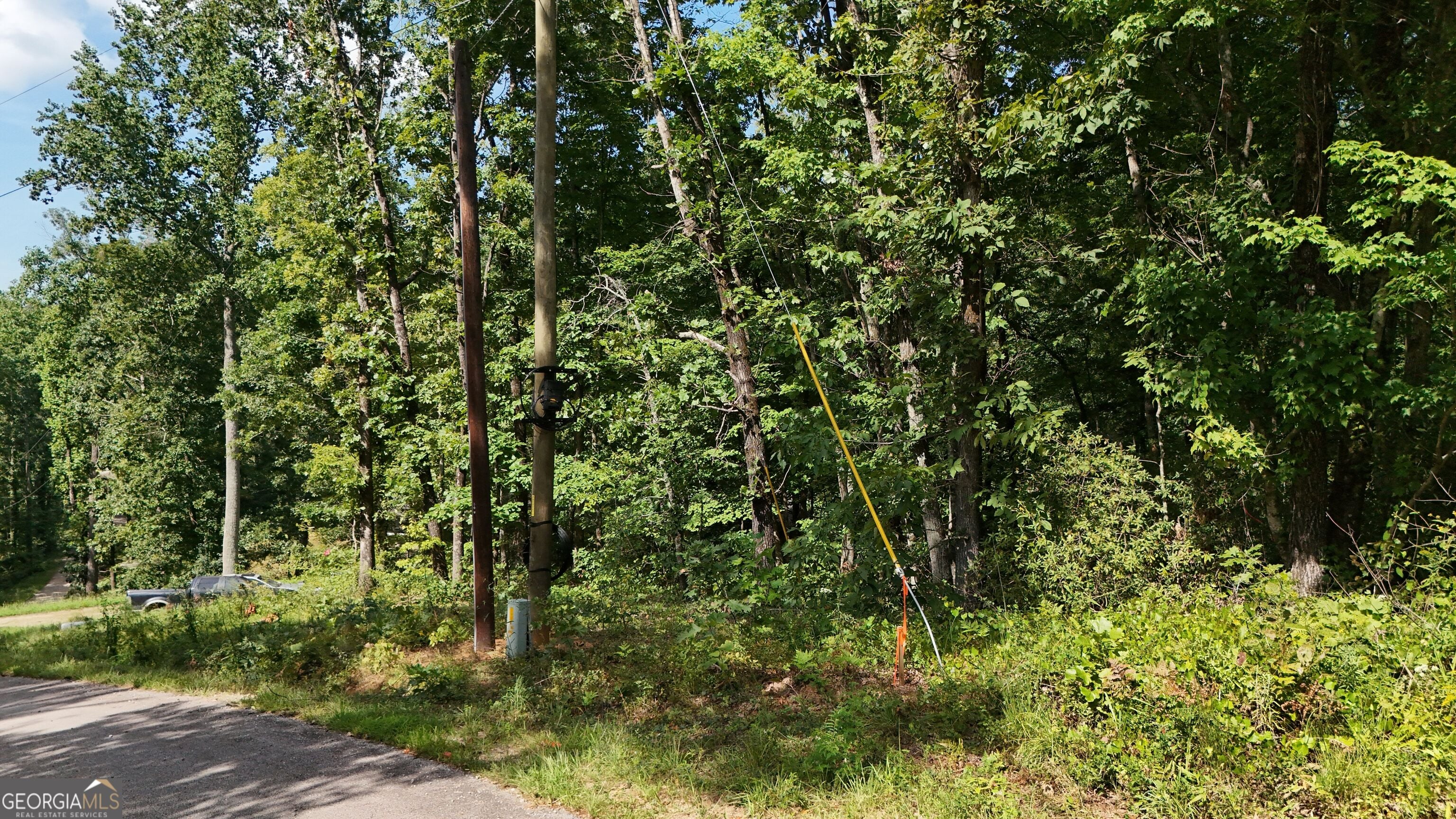 LOT 195 Fern Valley TRL