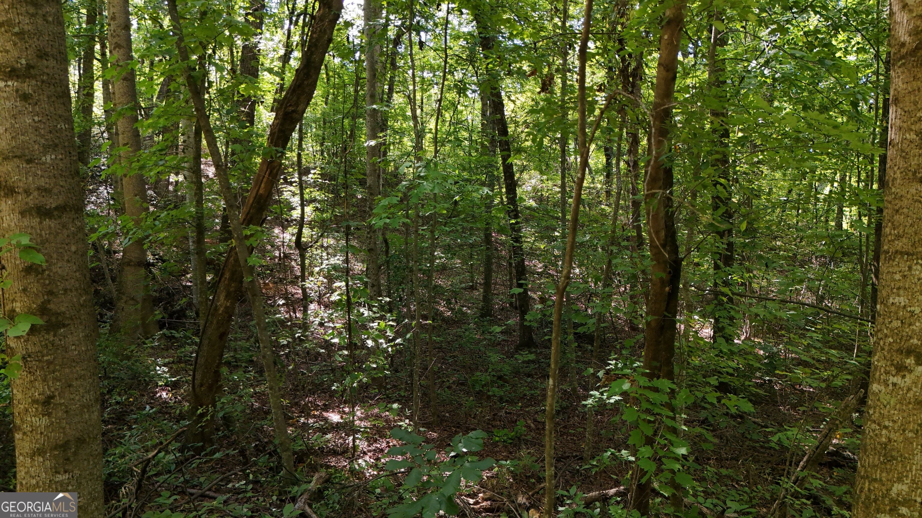 LOT 195 Fern Valley TRL
