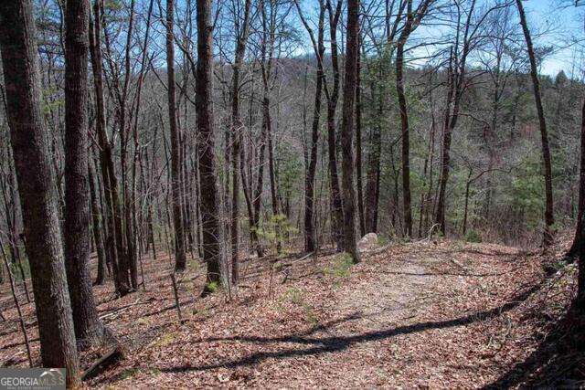 NEW 2023 BOUNDARY SURVEY - flagged corners and property lines. Easy to explore. Seasonal Mountain and Valley Views from this 2 acre lot in Round Top Subdivision just 10 minutes from downtown Clayton. Water system tap on paid. Paved road frontage.