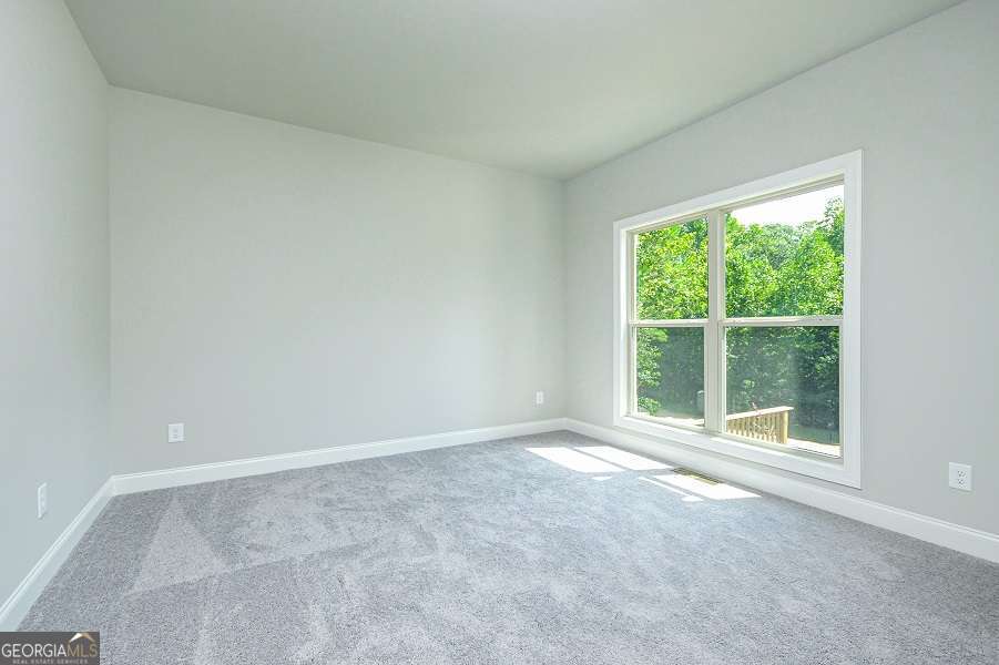 237 Lotus LN 24