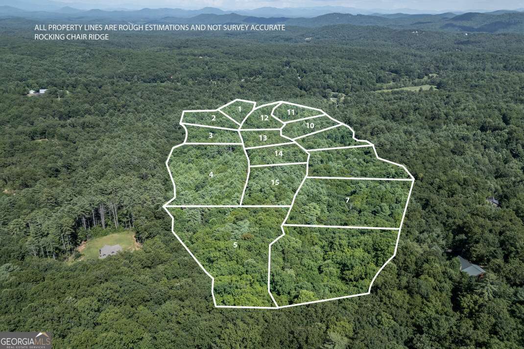 This mountain property offers a great opportunity to build a forever home, create a rental, or make a smart investment in a growing community. Set on 4.12 wooded acres within a private subdivision, the lot offers a peaceful setting with potential for long-range, year-round mountain views-perfect for enjoying from a future porch or outdoor living space. Surrounding terrain includes a mix of level, gentle, and rolling slopes, ideal for a variety of building plans. Access is easy with both gravel and paved roads, and well access is available. Minutes from the North Carolina border and convenient to downtown Blue Ridge, the area is filled with outdoor adventure-hiking trails, mountain biking, Lake Blue Ridge, and more. Nearby towns include Mineral Bluff, Ellijay, Jasper, Blairsville, and Murphy, NC, offering additional options for shopping, dining, and recreation. With privacy, natural beauty, and versatility, this property has strong potential for personal or investment use in one of North Georgia's most scenic regions.