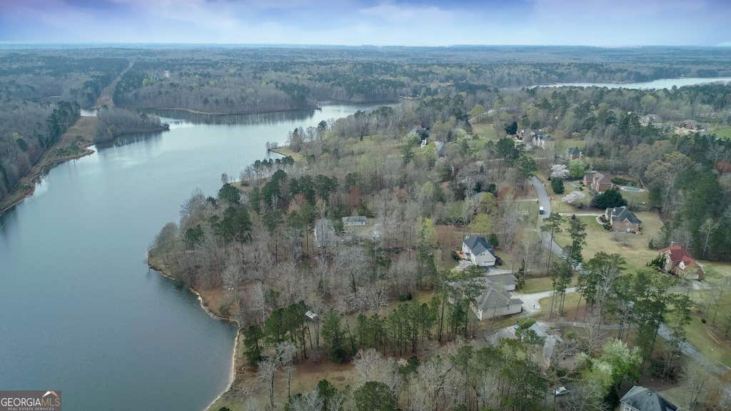Photo of 12283 Coldstream Court, Hampton, GA 30228 (MLS # 10820528)