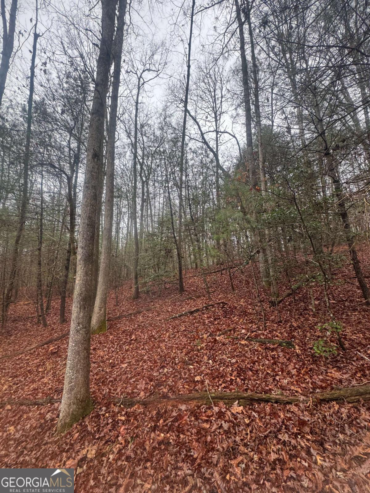 0 W Mountaintown TRL
